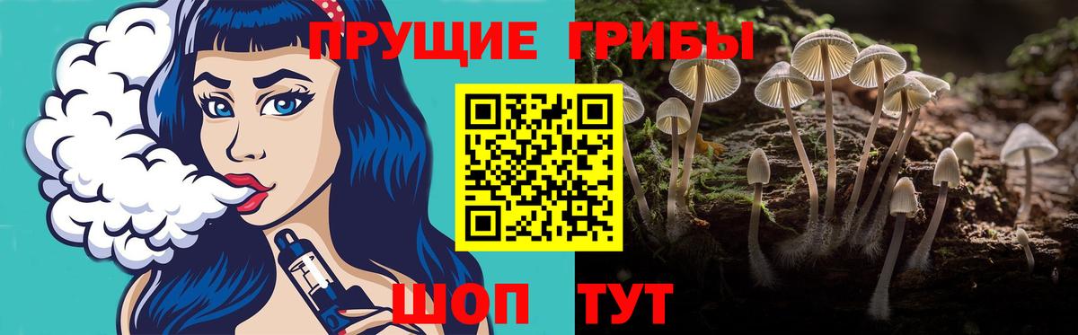 Галлюциногенные грибы мухоморы Миллерово
